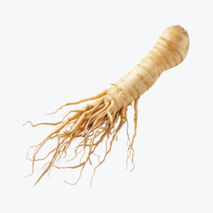 Ginseng